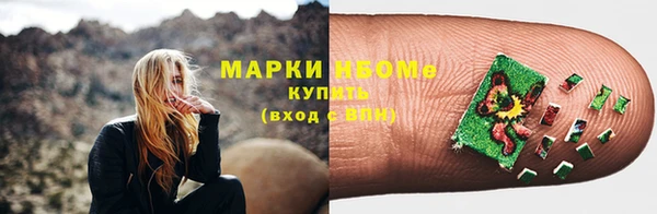 стафф Арсеньев