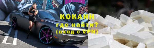 сатива Аркадак