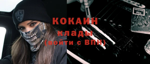 стафф Арсеньев