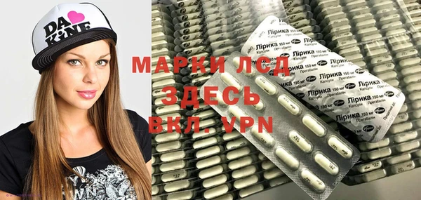 стафф Арсеньев