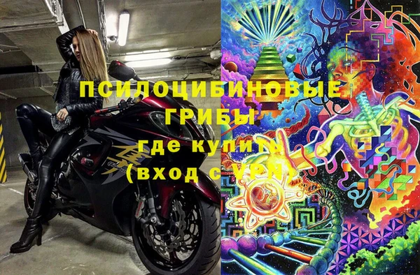 сатива Аркадак