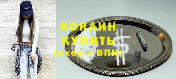 сатива Аркадак