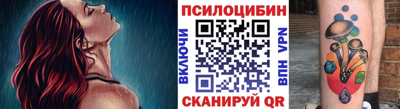 ссылка на мегу tor  Новоалександровск  Галлюциногенные грибы Psilocybe 