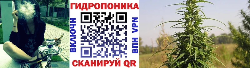 mega онион  Новоалександровск  Конопля White Widow 